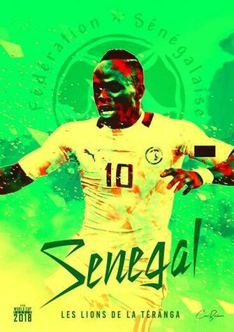 Les Lions De La Teranga Wc Senegal Russia Fifa World