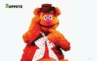 HD Wallpaper Animal Muppet X Kb Jpeg