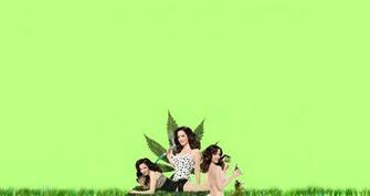 Weeds Wallpaper By Laselwoo