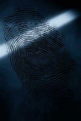 Csi Crime Scene Fizx