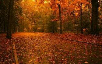 Wallpaper Zip Files