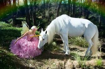 Unicorn Fairies