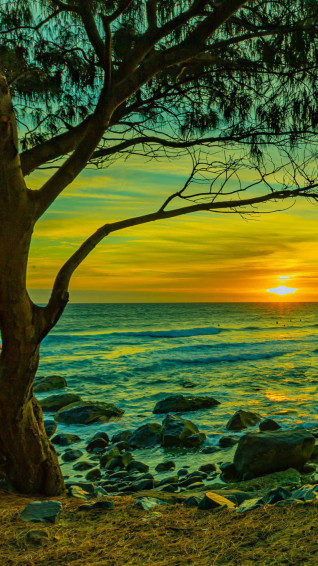 Find Peace And Relaxation Walking Along The Shores Of This Wallpaper