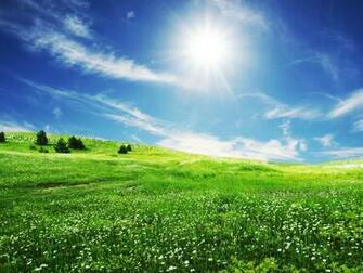 Pictures Beautiful Nature Wallpaper HD Amazing