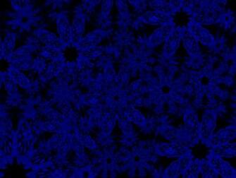 Dark Blue Flower Wallpaper Flowers By