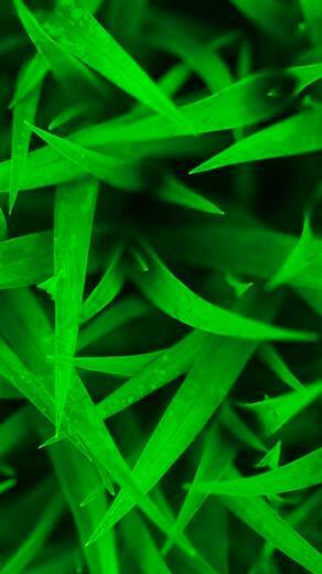 iPhone Retina Display HD Wallpaper Animhut