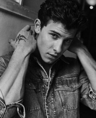 Shawn Mendes Image HD Wallpaper And Background