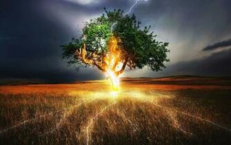 Wallpaper Lightning Weft