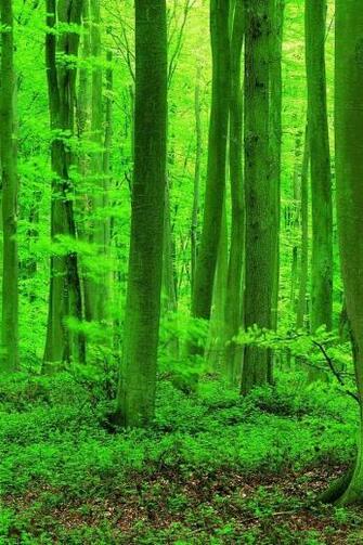 Plus Wallpaper Android Mobile Screensavers