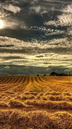 Northern Ireland Harvest iPhone Wallpaper