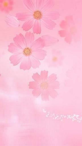 Get Pink Girly Wallpaper For Your Phone Or Tablet