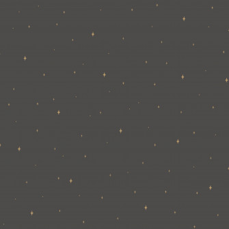 Glistening Stars Black Wallpaper