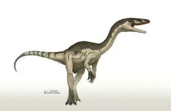 Coelophysis Pictures Facts The Dinosaur Database