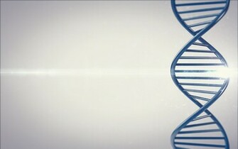 Dna Ladder Of Life Wallpaper And Image Pictures