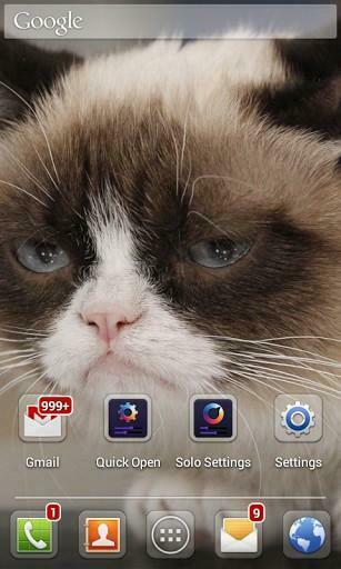 Grumpy Cat iPhone Wallpaper Bigger
