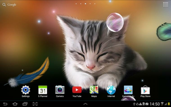 Sleepy Kitten Live Wallpaper V1 Apk Los Mejores Juegos Y