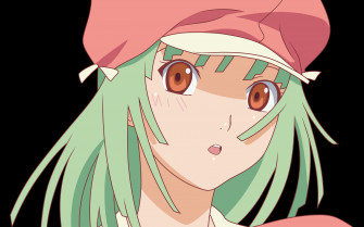 Anime Monogatari Series 4k Ultra HD Wallpaper