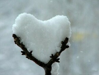 Wallpaper Love Nature