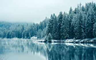 Chromebook Wallpaper