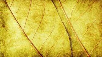 Wallpaper Yellow Desktop Background