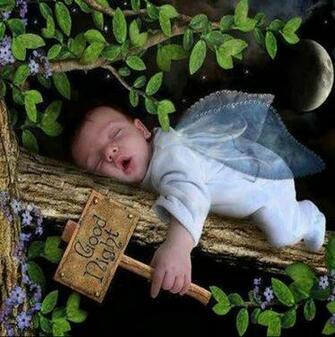 Lovely Good Night Wallpaper Allfreshwallpaper