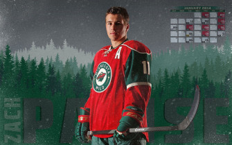 HD Mn Wild Wallpaper
