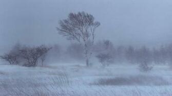 Snow Storm Desktop Wallpaper HD Background Of Your