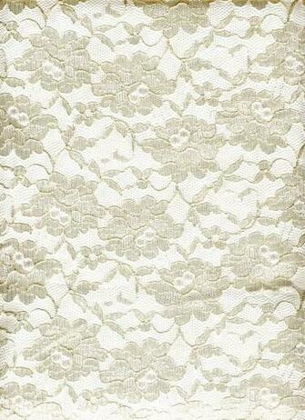 Lace Cream On White By Kameleonklik