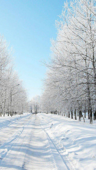 Winter Wallpaper iPhone