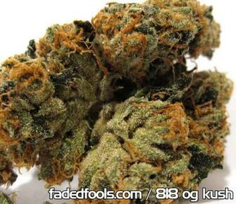 Og Kush Medical Marijuana Dispensary Weed Wallpaper