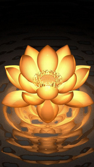 Lotus Wallpaper For Android