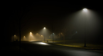 Landscape Nature Street Night Light Mist Grass Spring Wallpaper