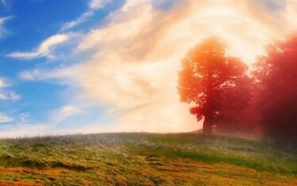 Nature Trees Red Leaves Clouds HD Wallpaper