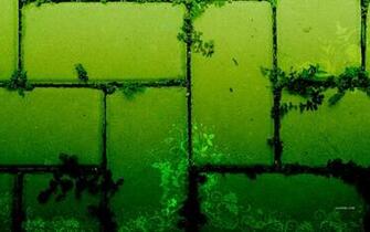Green Bricks Wallpaper