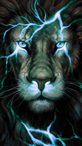 Cool Wallpaper Lion Pictures Image Tiger Spirit Animal