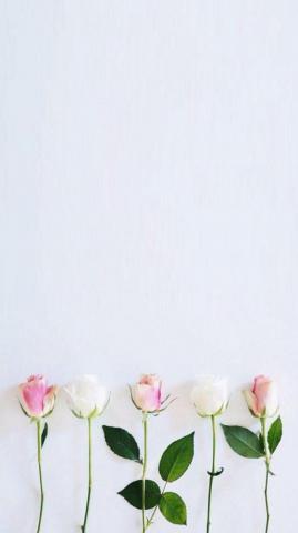 Wallpaper Mobile iPhone Solid Color
