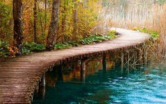 Scenic Background Bridge Logbridgepath Wallpaper HD