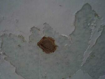 Problems After Removing Wallpaper The Home Depot Community