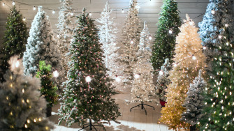 Reasons To Have An Artificial Christmas Tree Instead Of A Live