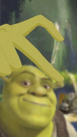 Shrek My Lord And Savior In Funny Profile Pictures