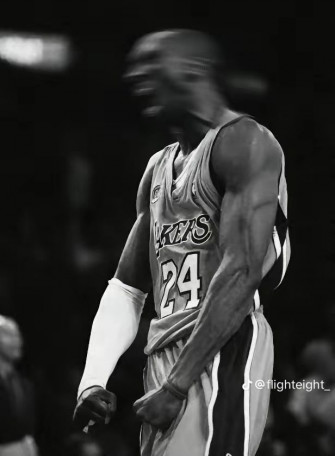 Vicki L On Basketball In Kobe Bryant Wallpaper