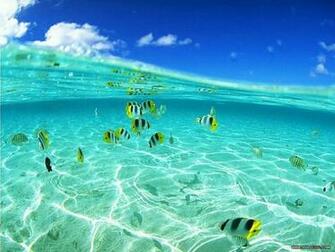 Desktop Wallpaper Online Best Collection Of Ocean