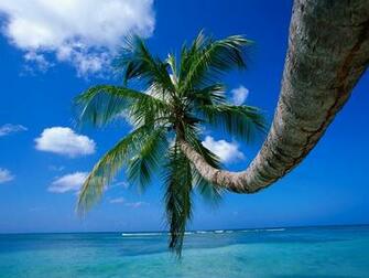 Wonderfull Islands Wallpaper High Resolution Photos