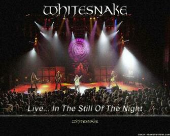 Whitesnake Wallpaper