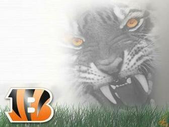 Wallpaper Football Nfl Cincinnati Bengals Misc