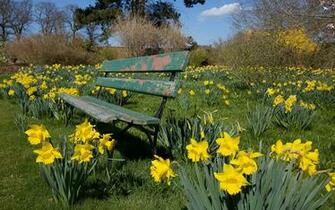 Zoo Park Nature Flowers Wallpaper Of