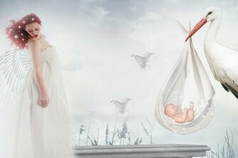 Child Wings Stork Wallpaper And Image Pictures