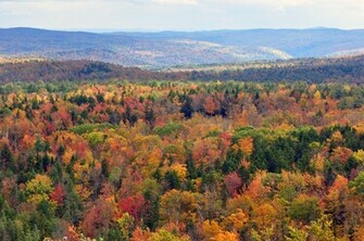 File Vermont Fall Foliage Hogback Mountain Jpg