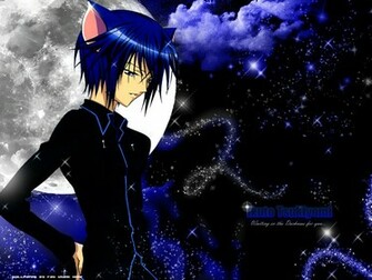 Ikuto Tsukiyomi My Guardian Characters Wallpaper