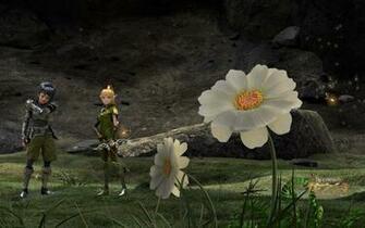 Image About Dragon Nest